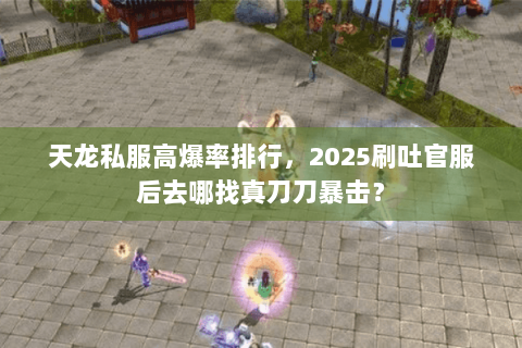 天龙私服高爆率排行，2025刷吐官服后去哪找真刀刀暴击？