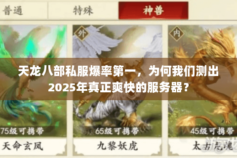天龙八部私服爆率第一，为何我们测出2025年真正爽快的服务器？