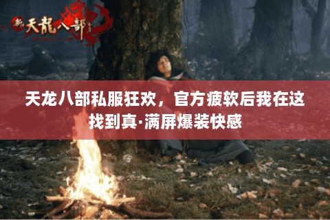 天龙八部私服狂欢，官方疲软后我在这找到真·满屏爆装快感