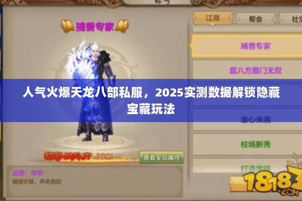 人气火爆天龙八部私服，2025实测数据解锁隐藏宝藏玩法