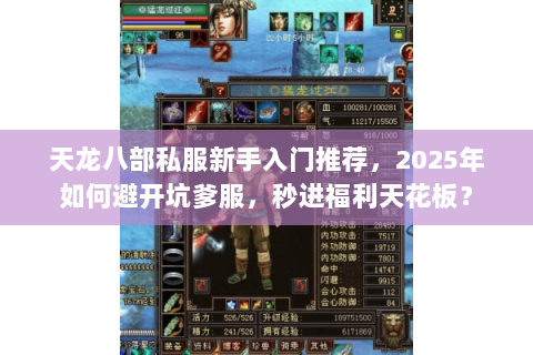 天龙八部私服新手入门推荐，2025年如何避开坑爹服，秒进福利天花板？