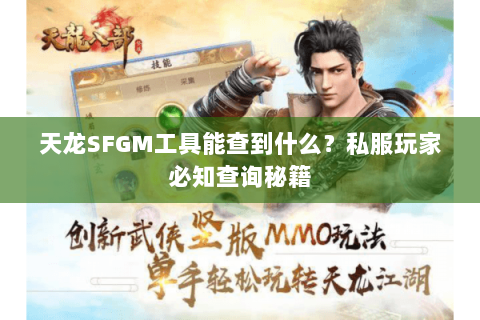 天龙SFGM工具能查到什么？私服玩家必知查询秘籍