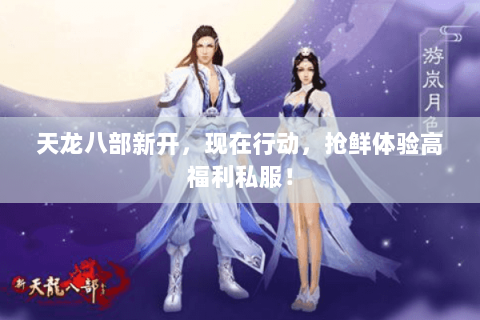 天龙八部新开，现在行动，抢鲜体验高福利私服！