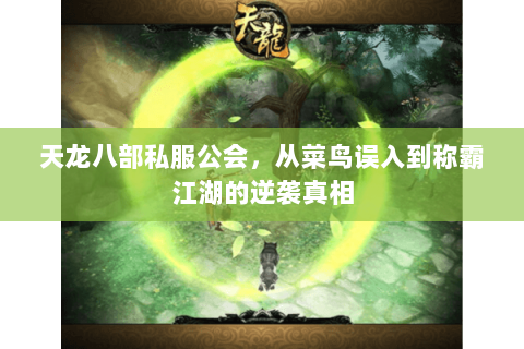 天龙八部私服公会，从菜鸟误入到称霸江湖的逆袭真相