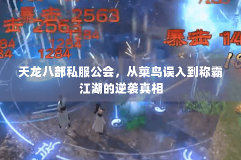 天龙八部私服公会，从菜鸟误入到称霸江湖的逆袭真相