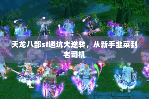 天龙八部sf避坑大逆转,从新手韭菜到老司机 天龙八部sf避坑大逆转,从新手韭菜到老司机